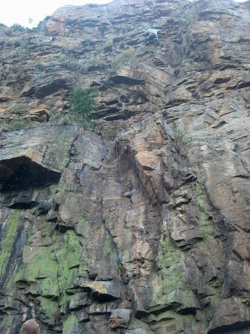 posted image