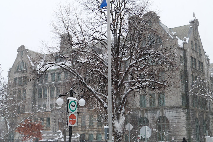P1000915.JPG