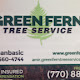 Green Fern Tree Service