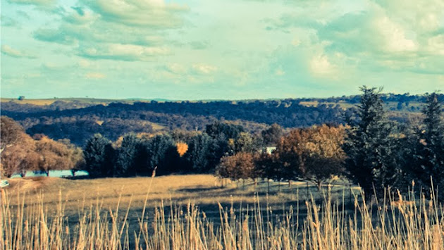 Cover photo