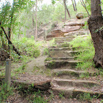 Steps near Gordon Creek falls (124975)