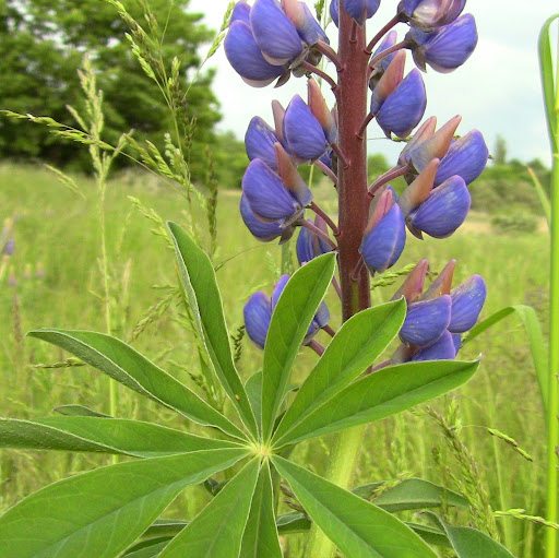 Dan Bagger Phone Number, Address, Age, Contacts [3 Records Found] Radaris