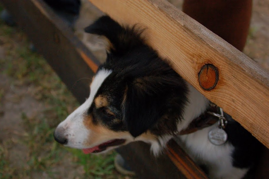 DSC_8049.JPG