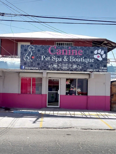 Canine Pet Spa & Boutique, Calle Rio Presidio 1281, Benito Juárez, 21723 Mexicali, BC, México, Cuidado de mascotas | BC