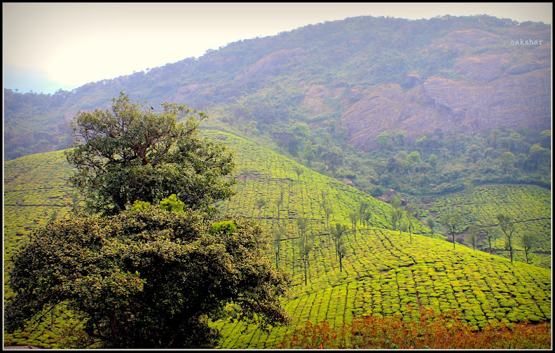 [Photo Feature]: Mangalore-Thrissur-Chalakkudi-Valparai-Polachi-Munnar ...