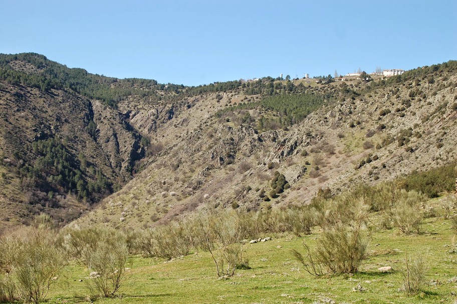 DSC_8692.JPG
