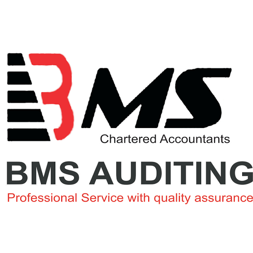 BMS AUDITING - Auditing Firm in Dubai, No.2512, 80394، DAMAC Smart Heights - United Arab Emirates, Accountant, state Dubai