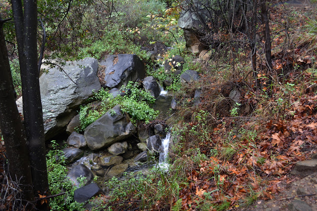 San Ysidro Creek