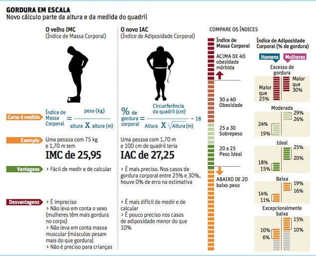 Percentagem de gordura corporal como calcular