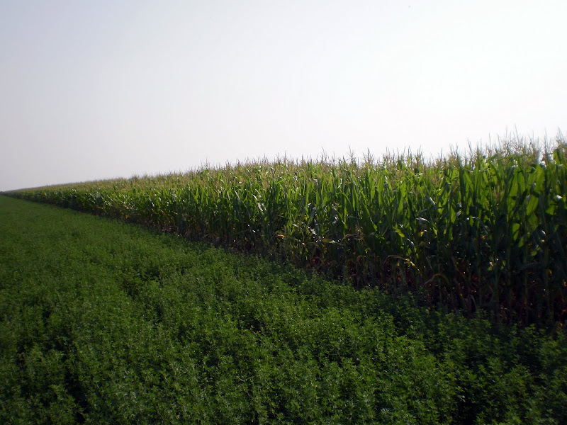 P7010024.JPG