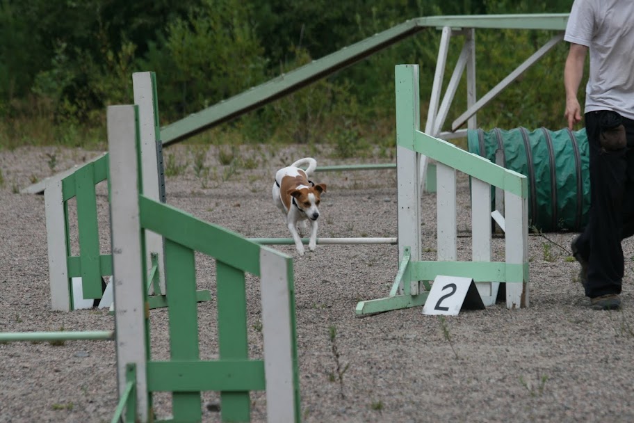 agility