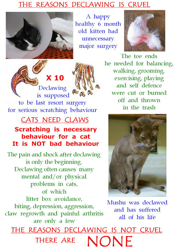 THE "DECLAWING IS NOT CRUEL" FACEBOOK GROUP PoC