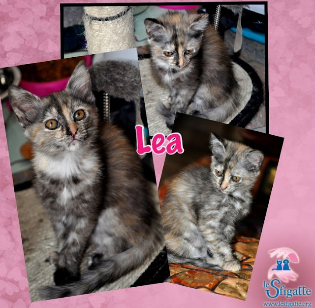 Lea