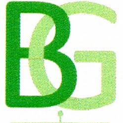 Bortolussi Giulio - Elettrodomestici - Stufe-Climatizzatori-Assistenza Tecnica logo