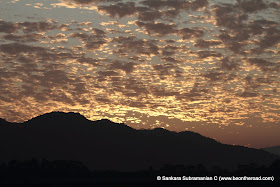 Vivid and Vibrant Evening Sky at Kaziranga - 7