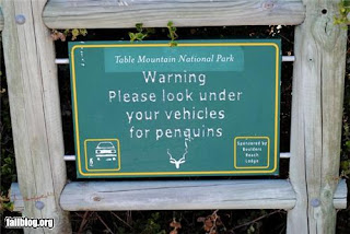 penguin warning, look under your vehicles for penguins