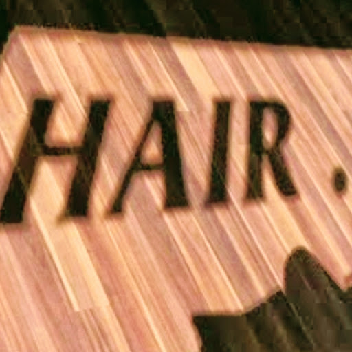HAIR . .. a salon logo