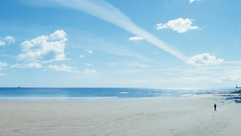 Cover photo