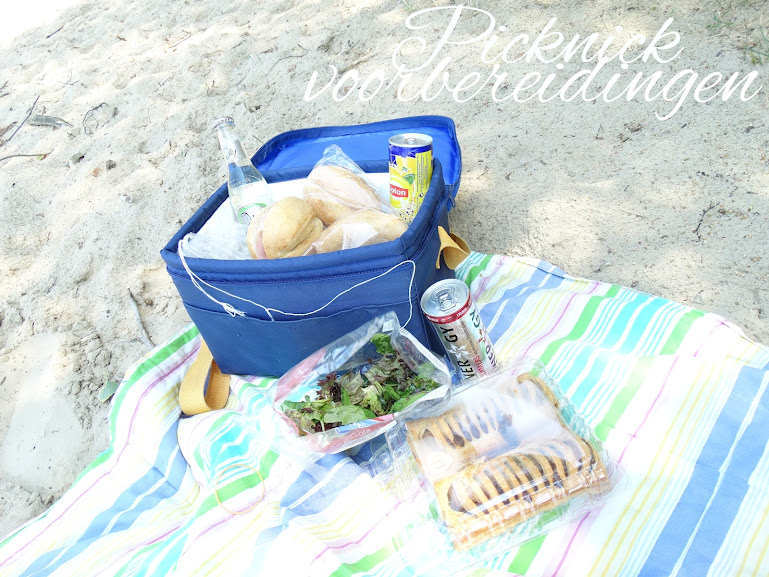 picknick