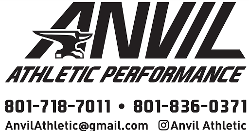 Anvil Athletic Performanc Training logo