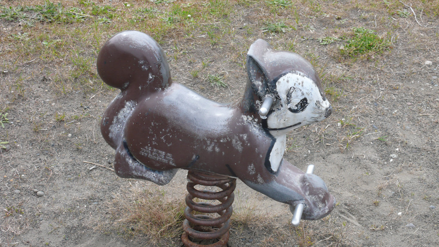 SQUIRREL
