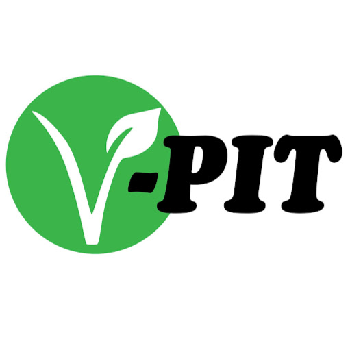 V-PIT logo