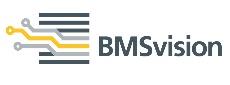 BMS Vision Ltd Management | BMS Vision Ltd Management Team