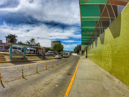 Central De Autobuses Tulancingo Hidalgo, Tulancingo, Los Pinos, 43626 Col Hidalgo, Méx., México, Tienda de ultramarinos | HGO