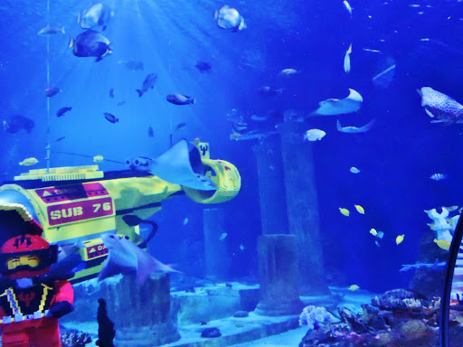 SEA LIFE® Carlsbad Aquarium