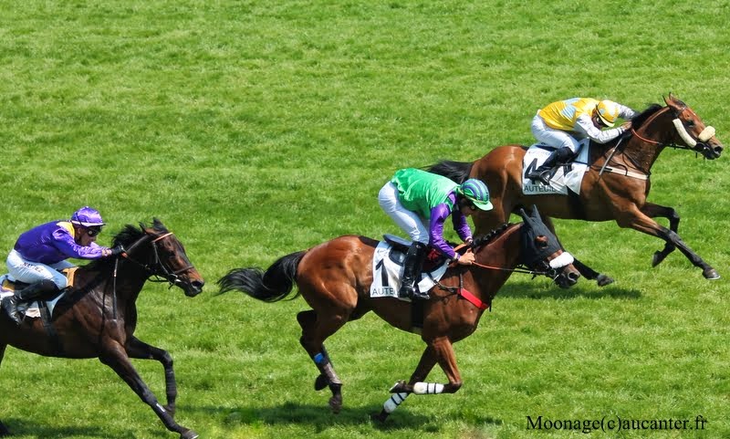 Photos Auteuil 8-06-2014  IMG_1721