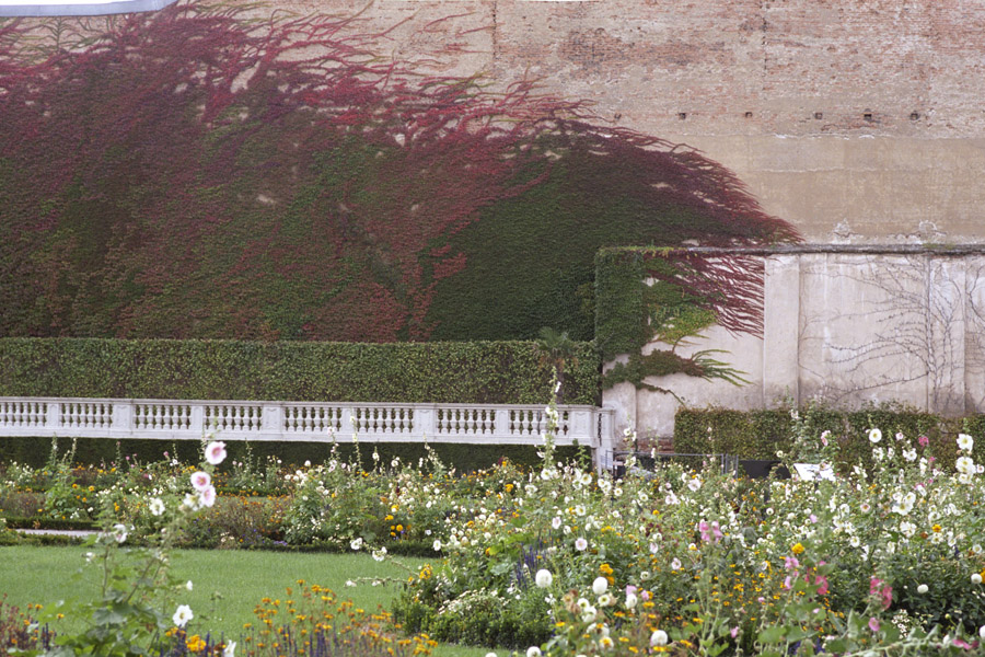 Австрия (Вена, Траункирхен, Баден, Инсбрук)