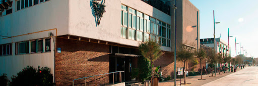 Club Natació Badalona
