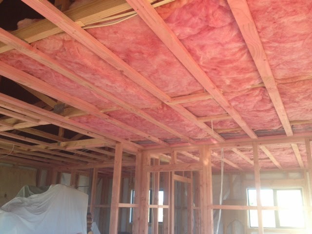 The Build Blog Pink Bats And Ceilings
