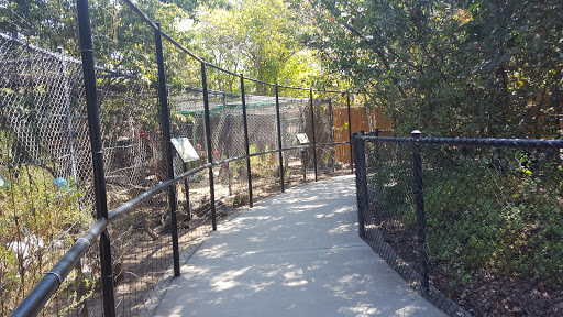 Zoo «Orange County Zoo», reviews and photos, 1 Irvine Park Rd, Orange, CA 92869, USA