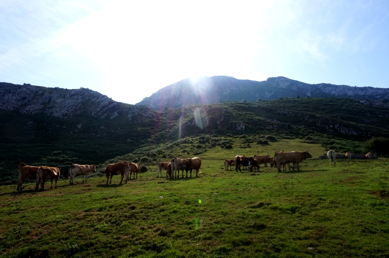 La Mostayal (Sª del Aramo) - Descubriendo Asturias (9)