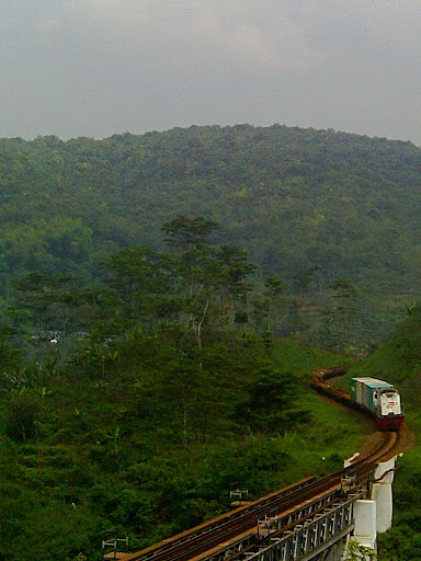 [Image: IMAG0053.JPG]