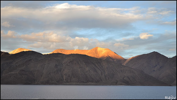 pangong