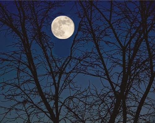 December Full Moon Of Long Nights