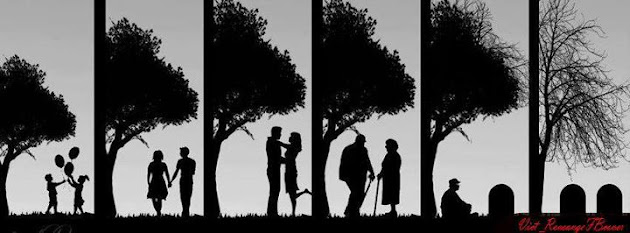 Cover photo