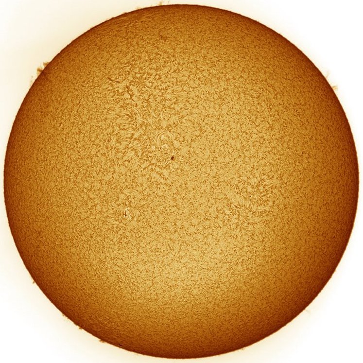 Simply Sun from the Solar Sea Monster Collection from the Flower Mound Observatory
