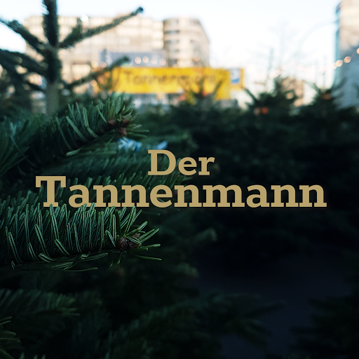 Der Tannenmann Weihnachtsbäume am Cafe Moskau