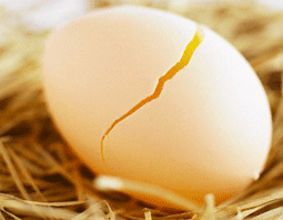 trứng có thể làm được nhiều món