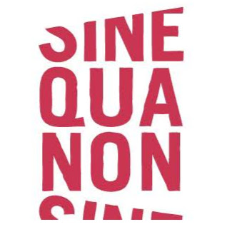 Sine Qua Non Salon logo