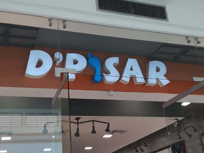 dpisar.com