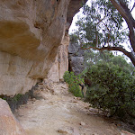 Collier's Causeway under cliffs (13402)