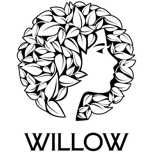 Willow a Hair Studio logo