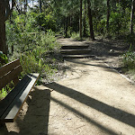 Nice place to rest beside Flaggy Creek on the Yuelarbah Walking Track (339319)