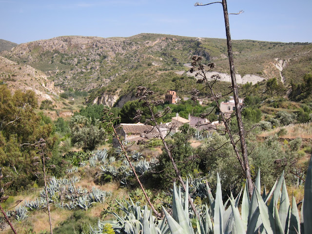 Looking down on the village through the agave