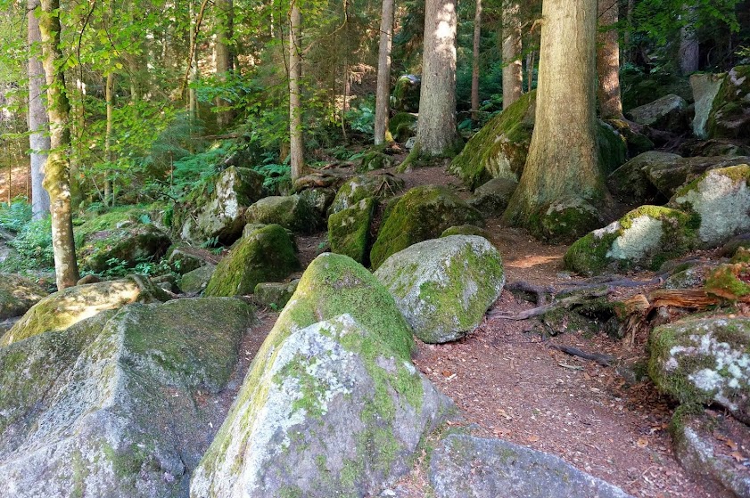 Боденское озеро и Швейцарский перевал - август 2013 (Польша-Германия-Швейцария)