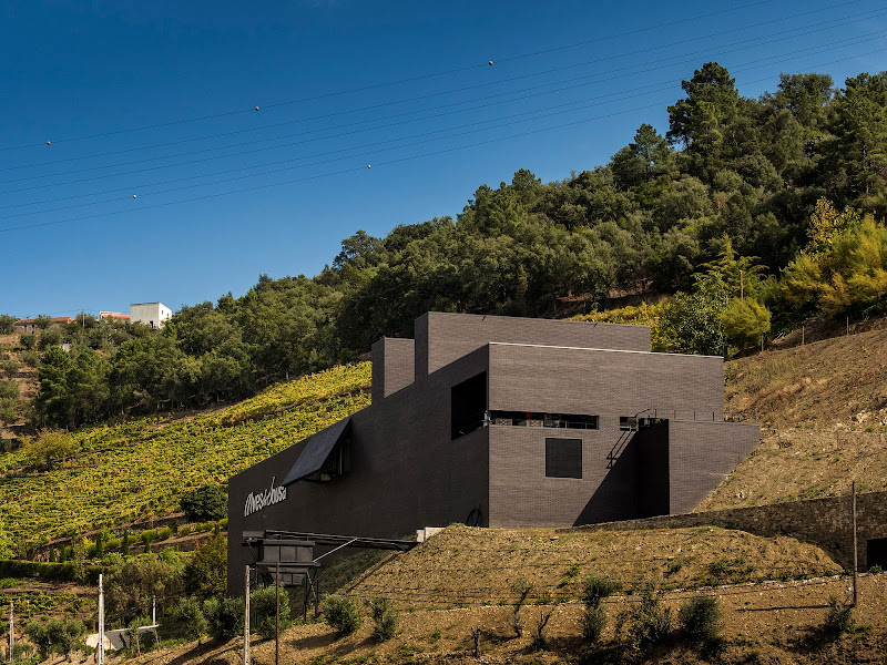 Image principale de Alves de Sousa - Douro and Port Wines, Quinta da Gaivosa